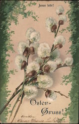 Several Stems of Flowers Postcard