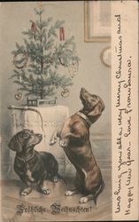 Two Dogs with a Christmas Tree Postcard Postcard Postcard