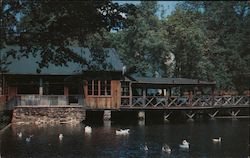 Cobb's Mill by the Waterfall Diners in the Original Mill Building Enjoy Delightful Vistas Overlooking the Lake Postcard