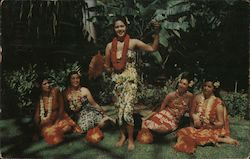 Hula Maids in Tropic Setting Postcard