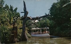 Jungle River Cruise - Adventureland Postcard