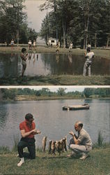 Hey-Ru Trout Fishing Park 3 Crystal Clear Trout Ponds Rainbow, Brown, and Speckled Trout Postcard