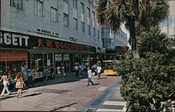 Lincoln Road Mall Miami Beach, FL Postcard Postcard Postcard