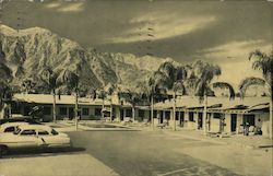 Apartment Complex Among Palm Trees Postcard