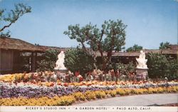 Rickey's Studio Inn - A Garden Hotel Palo Alto, CA Postcard Postcard Postcard