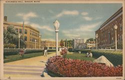 Norumbega Mall Bangor, ME Postcard Postcard Postcard