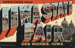 Greetings From Iowa State Fair Postcard