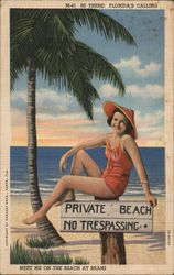 Private Beach No trespassing. Postcard