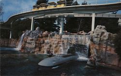 Disneyland - Submarine Voyage Anaheim, CA Postcard Postcard Postcard