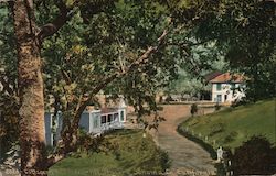 Cottage and Hotel, The Geysers Postcard