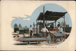 Preparing Prunes For Drying San Jose, CA Postcard Postcard Postcard