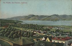 View of The Presidio San Francisco, CA Postcard Postcard Postcard