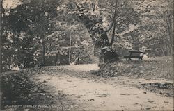 "Maples" Stanley Park Postcard