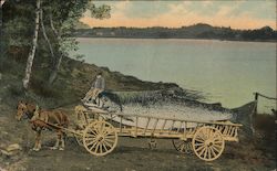 Comic card of fishing catch of whale size fish in horse drawn wagon Postcard