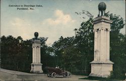 Entrance to Deerings Oaks Postcard