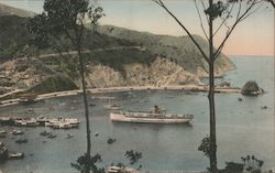 Avalon Bay, Avalon Postcard