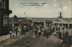 Arrival of the Steamer "Cabrillo" Postcard