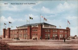 Denver Union Stock Yards Amphitheater Postcard