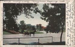 View in City Park Denver, CO Postcard Postcard Postcard