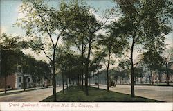 Grand Boulevard, North From 51st St. Chicago, IL Postcard Postcard Postcard