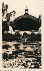 Fountain At Balboa Park, San Diego California Postcard Postcard Postcard