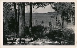 Scene From Handberg's Northwoods Lodge Postcard