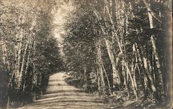 Dirt road through the trees Boothbay Harbor, ME Landscapes Postcard Postcard Postcard