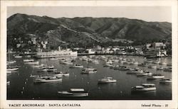 Yacht Anchorage Postcard