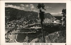 Avalon Bay Postcard