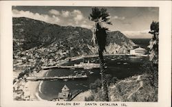 Avalon Bay Postcard