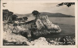 17 MIle Drive Carmel, CA Postcard Postcard Postcard