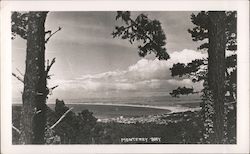 Monterey Bay Postcard