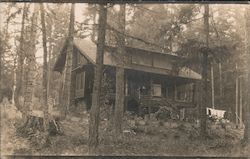 Lake Steilacoom Cabin in Woods "The Dingle" Postcard