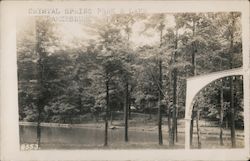 Crystal Spring Park & Lake Parkesburg, PA Postcard Postcard Postcard