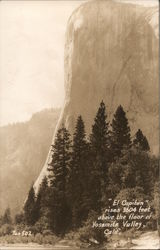 "El Capitan" Rises 3604 Feet above the Floor of Yosemite Valley Yosemite National Park Postcard Postcard Postcard