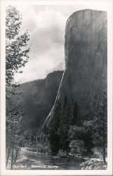 El Capitan, Yosemite Valley Yosemite National Park, CA Postcard Postcard Postcard