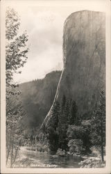 El Capitan, Yosemite Valley Yosemite National Park, CA Postcard Postcard Postcard