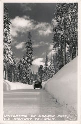 Wintertime on Donner Pass Postcard