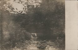 Small river falls in the woods Postcard