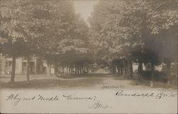 Jamestown Street Postcard