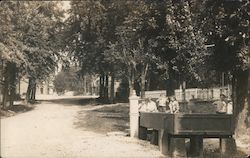 Children Playing Beside the Road Octavia, NE Postcard Postcard Postcard