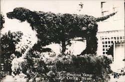 Prucha Yard Postcard