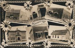 Walthill Nebraska MultiView Postcard