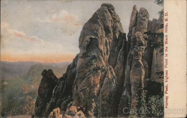 Henry Park, highest point in the Black Hills South Dakota Postcard