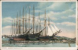 Maine's "Hearts of Oak" Postcard