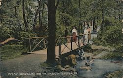 Rustic Bridge, Mt Gretna Park Mount Gretna, PA Postcard Postcard Postcard