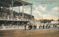 Viewing the Prize Cattle at the State Fair Oklahoma City, OK Postcard Postcard Postcard