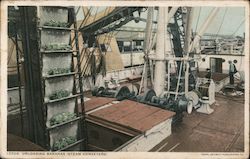 Unloading Bananas, Steam Conveyors on Ship Deck Boats, Ships Postcard Postcard Postcard