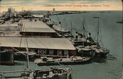 Harbor Scene, looking West Postcard