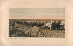 Reaping Wheat in North Dakota Postcard